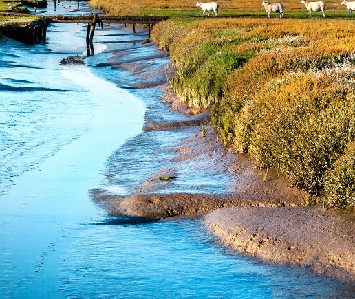 迷你世界84到85级经验多少达标