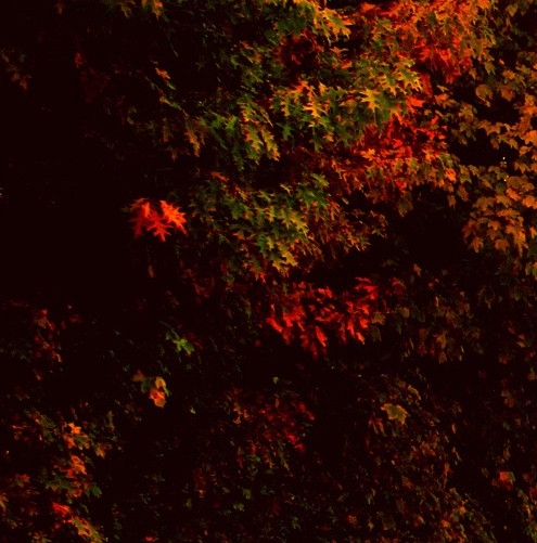 乙肝核心e抗体低是什么意思