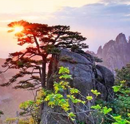 和平精英原子之心