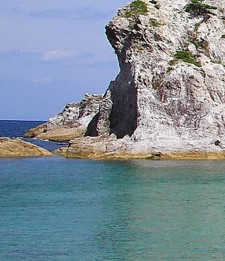 职场狂想曲大哥