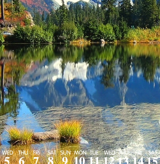 亚瑟心灵战警星元皮肤