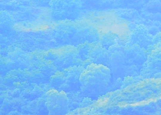 创意天幕露营图片展示 室外天幕营地体验