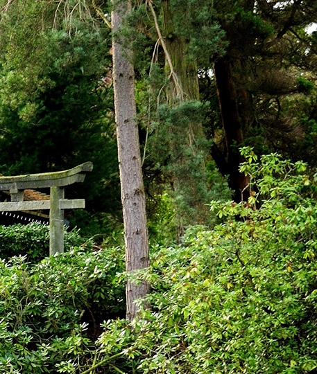 电商运营需要掌握哪些知识