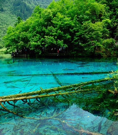 小兔市集心灵骇客值得兑换吗