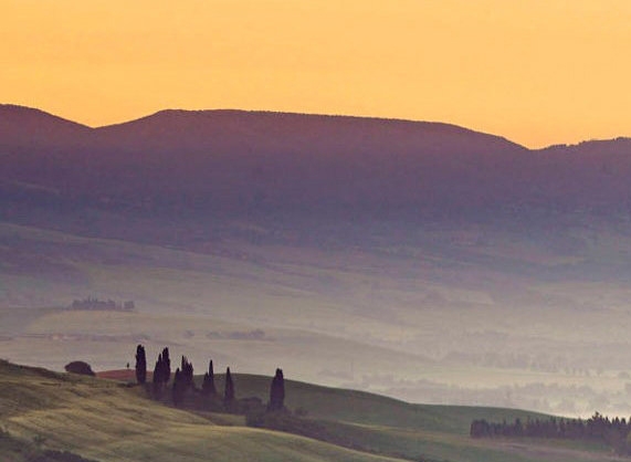 呵护心灵,关注心理健康教案