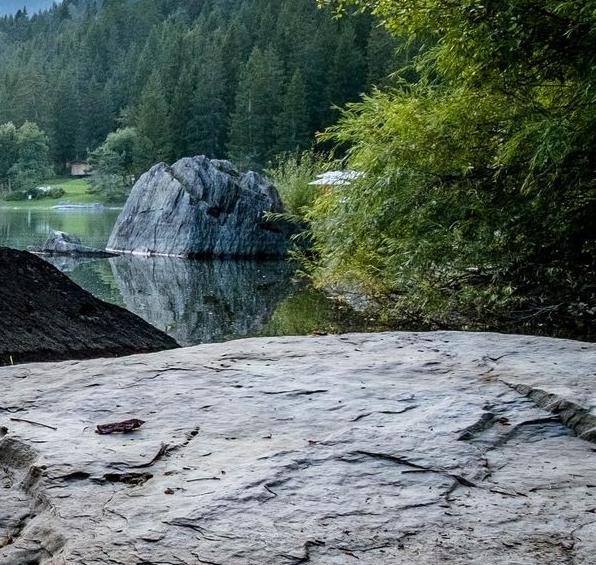 教师阵线联盟歌词