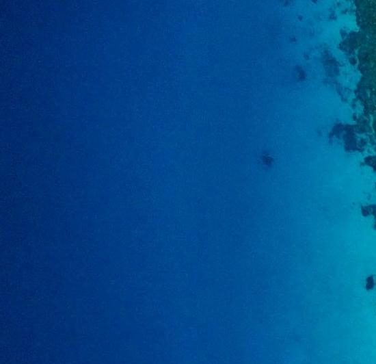 小兔糕心灵骇客