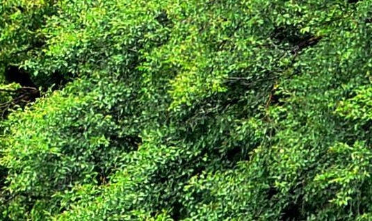 创意挂钟设计