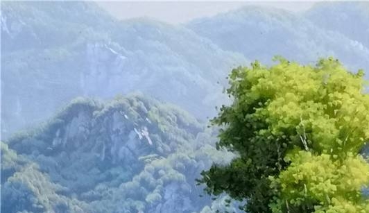 女生怀孕会受到职场歧视吗