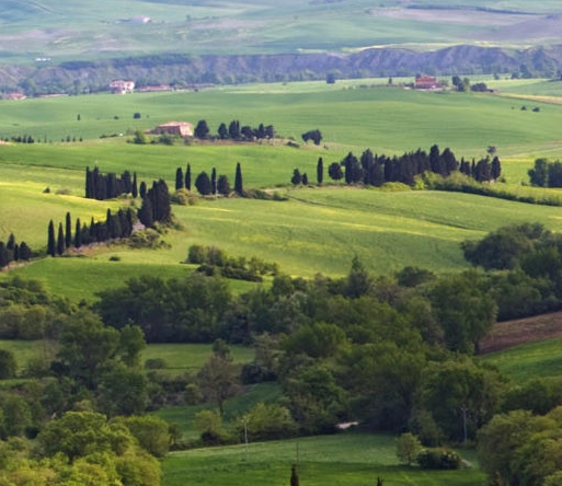 超能世界vip价格表