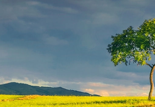 超能世界阵容推荐