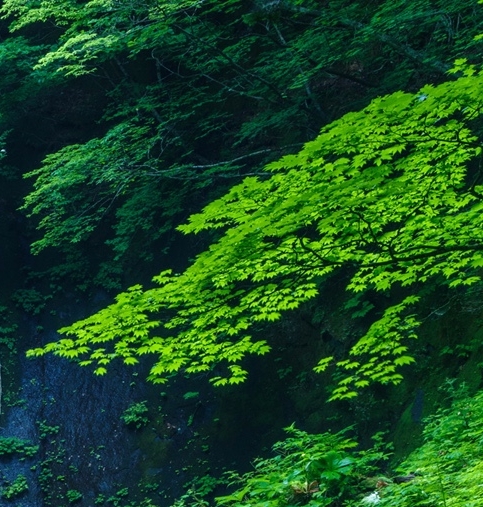 电商图片拍摄技巧