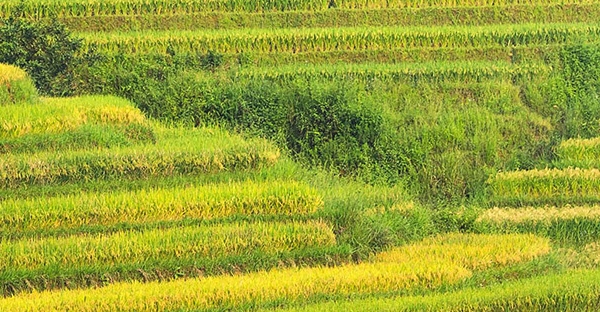 轻奢风格包厢装修图片