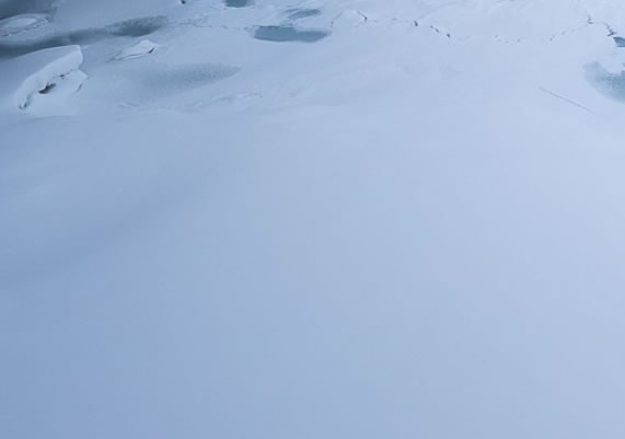 空手核心：挑战刀空手游，实战中的空手入白刃