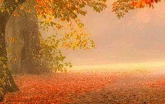 同城核心单价怎么算