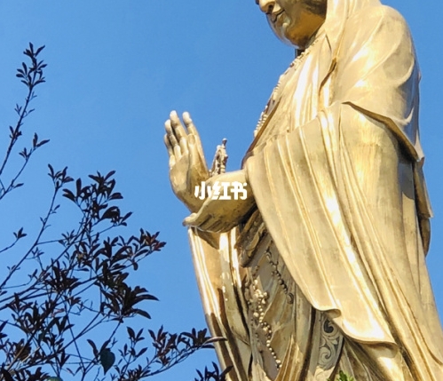 科技美学apk不如小白测评，字幕君被辞退
