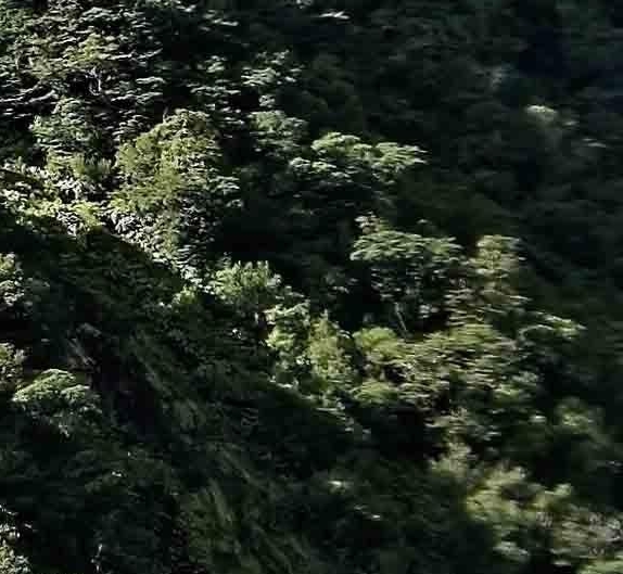 丁丁版迷你世界链接