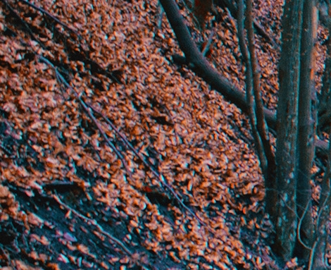 创意山楂画