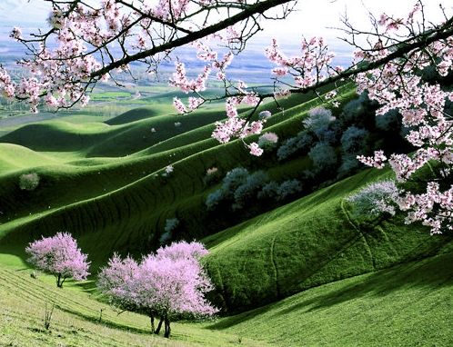 地图引擎是什么意思