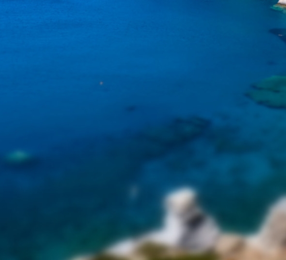 泰晶科技怎么样