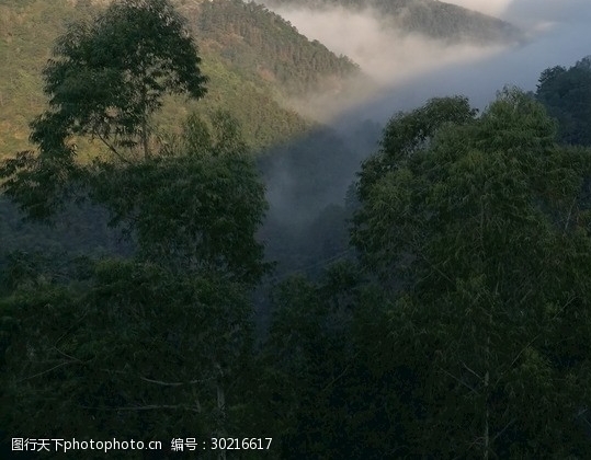 油画棒的创意图案