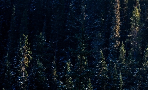 蓝天城和比如世界哪个好