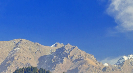 我们是几维世界