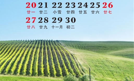 世界角逐阵容的世界角逐阵容介绍