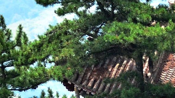 凹凸世界100名是谁