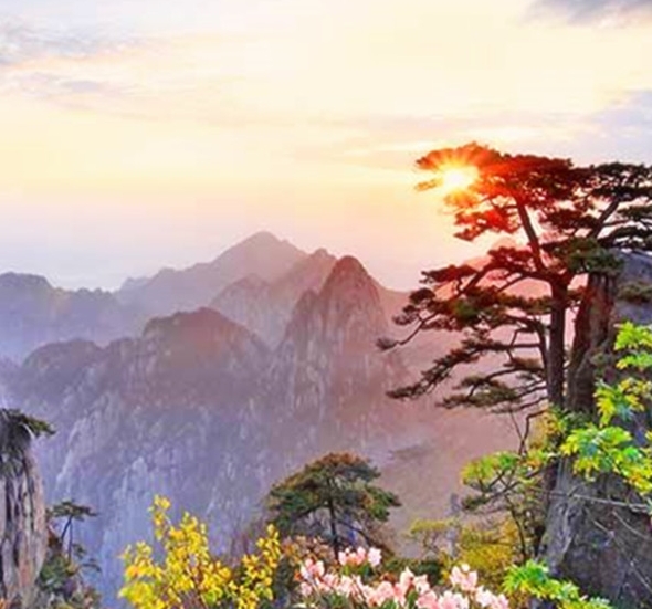 探寻心灵奇旅22身份：我的心灵之旅启示