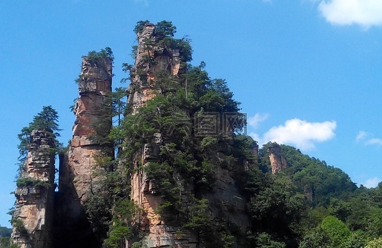 新春白板画 兔