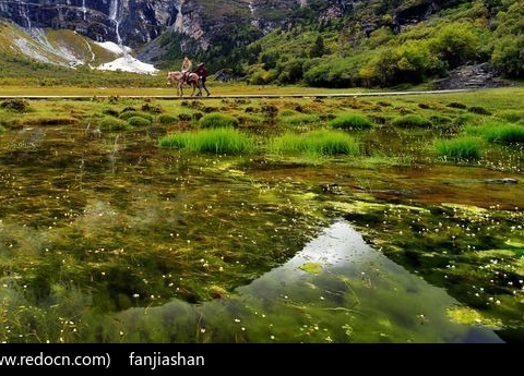 成败世界杯能为卡塔尔带来什么