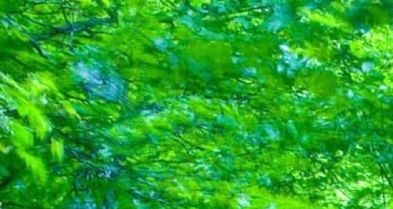 创意无限：探索字母D商标、乔丹字母商标和商标字母设计的设计创意图