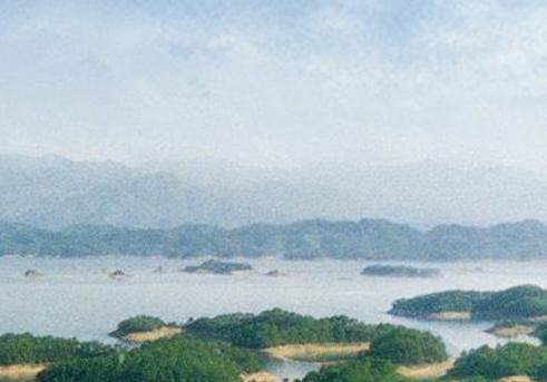 锤子科技怎么了