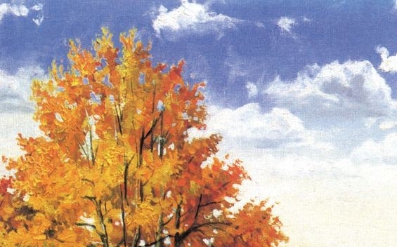 鲸科信息科技