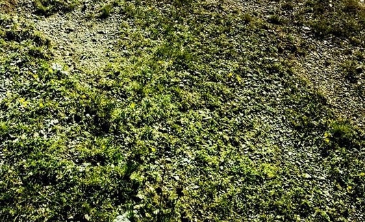 广州展图科技有限公司