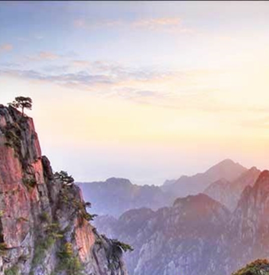 厦门宸鸿科技有限公司招聘信息