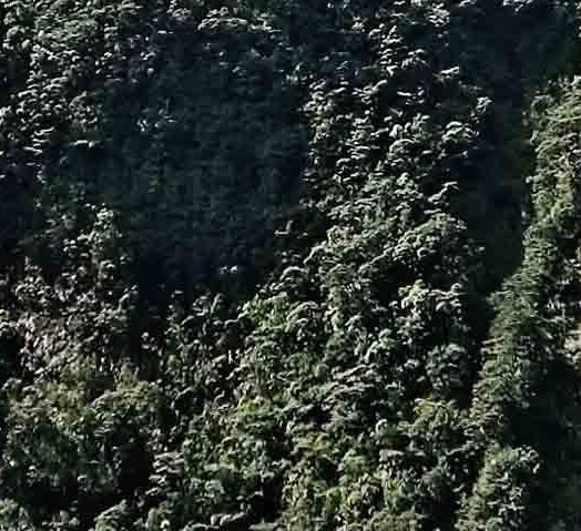 和平精英原子组件