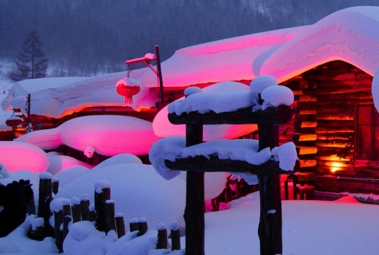 半仙迷你世界单人生存