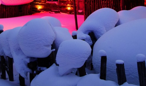 魔塔世界手机版攻略