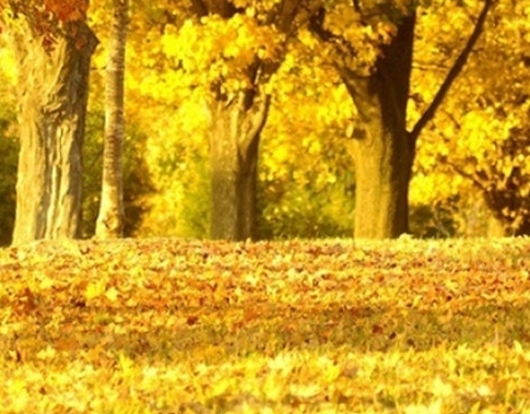 3一6年级科技画一等奖