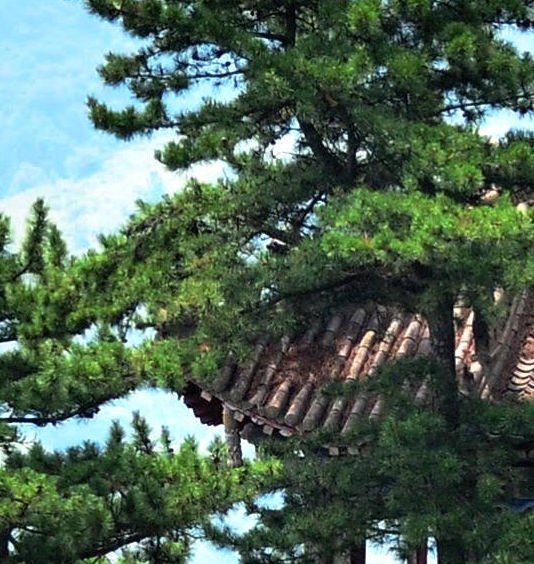 防汛防台风转移避险