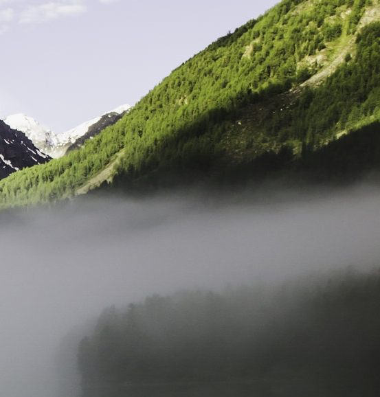 三年级我的缤纷世界