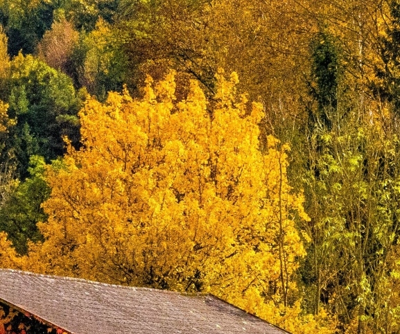 成都迪立科技