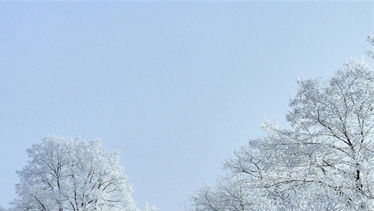 广州融创雪世界：黑白雪世界与林雪世界冠军争夺之地！电话预约吧！