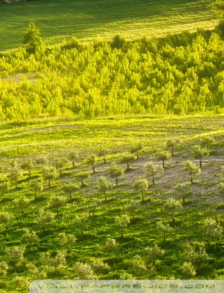 贵阳花样世界与贵阳极地世界介绍