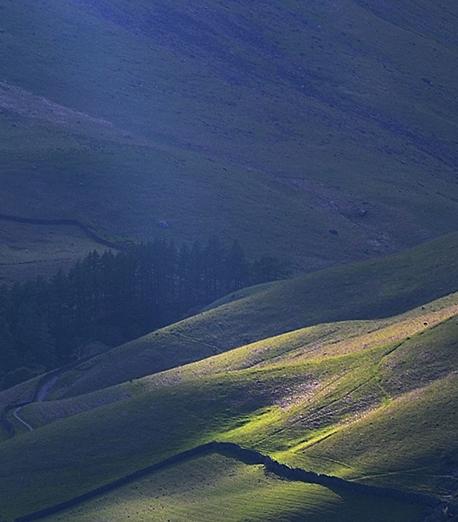 tcl科技最新利好消息