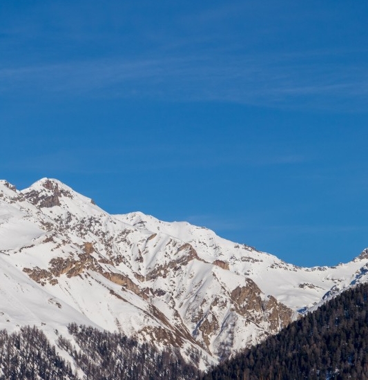 琉璃花瓶什么价