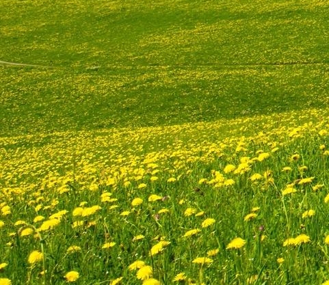 智能高铁科技公关