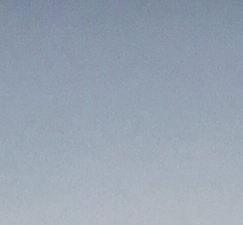 摘抄名人故事素材200字